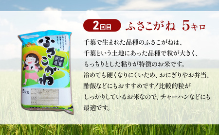 新米　定期　5か月5種　食べ比べ　無洗米5kg  お米 米 コメ こめ ふさおとめ ふさこがね 粒すけ ミルキークィーン コシヒカリ 食べ比べ お取り寄せ 千葉市 千葉県