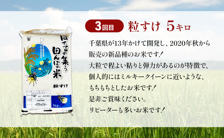 新米　定期　5か月5種　食べ比べ　無洗米5kg  お米 米 コメ こめ ふさおとめ ふさこがね 粒すけ ミルキークィーン コシヒカリ 食べ比べ お取り寄せ 千葉市 千葉県