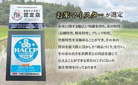令和7年産 粒すけ　定期便2か月　乾式無洗米　5kg お米 