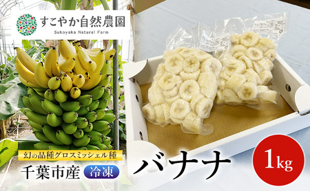 幻の品種 グロスミッシェル種 千葉市産 冷凍バナナ 1kg バナナ 果物 フルーツ 冷凍 千葉市
