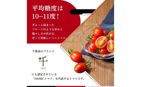 OSMIC トマト トマトグランプリ優勝 mini Premium 1kg ミニトマト　【トマト ミニトマト 野菜】