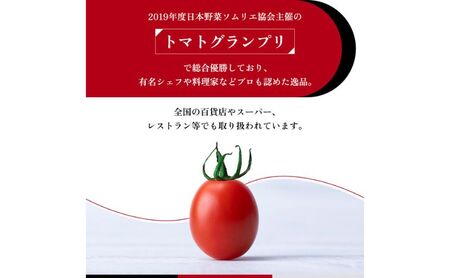 OSMIC トマト トマトグランプリ優勝 mini Premium 1kg ミニトマト　【トマト ミニトマト 野菜】