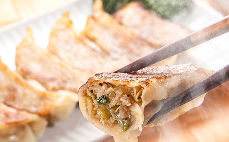 YAMATOぎょうざ　ガーリック醤油　50個入り【 加工品 惣菜 冷凍 中華 点心 ギョーザ 餃子 ニンニク 夕飯 おかず つまみ 】 