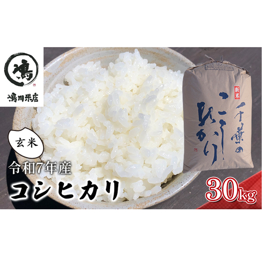 千葉産　令和7年コシヒカリ　玄米30kg【 お米 粘りつやつや 甘み】 ほんのり甘み 食感 新鮮