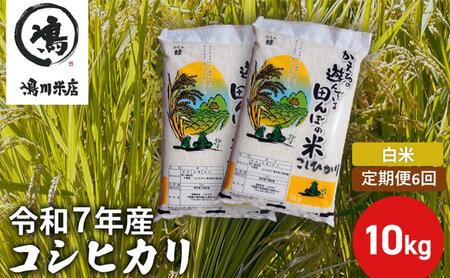 令和7年産　6ヶ月定期便　コシヒカリ　白米　10kg【定期便 お米 白米 粘り甘み】 精米 粘りつやつや 美味しい 新鮮
