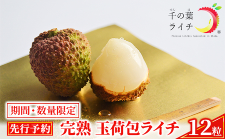 【千の葉ライチ】の 完熟 玉荷包ライチ （先行予約）【果物 フルーツ デザート】 果実 国産 上品な香り 国産生ライチ 新鮮 食後 化粧箱入り 