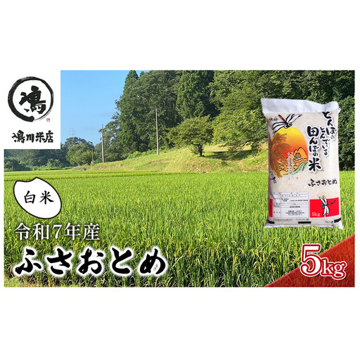 令和7年 ふさおとめ　白米　5kg 【 お米 精米 大粒 粘り気 ファン 】 千葉県