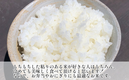 新米 ミルキークイーン 白米 5kg 令和5年産【お米 粘り もっちり ...
