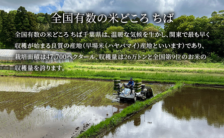 ミルキークイーン 無洗米 10kg（5kg×2）令和6年  特別栽培米【お米 粘り もっちり おにぎり お弁当】