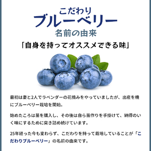 冷凍こだわりブルーベリー　500g×2【フルーツ  冷凍 1kg】