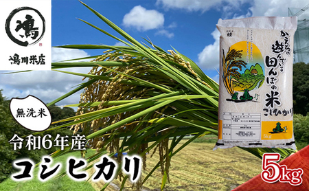 コシヒカリ 乾式無洗米 5kg 令和6年産