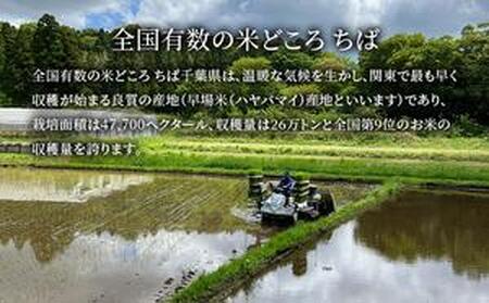 コシヒカリ 乾式無洗米 5kg 令和6年産