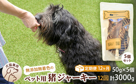 （１２回定期便）千葉県で獲れた猪ペット用ジャーキー(５個セット）２５０g