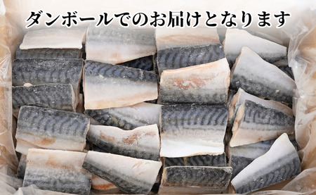 訳あり 塩ｻﾊﾞ 腹骨取り 切身 3.5kg 冷凍 大人気鯖 絶品鯖 詰め合わせ鯖 ｷﾞﾌﾄ鯖 訳あり鯖 大容量鯖 本格鯖 骨取り鯖 切身鯖 冷凍鯖 鯖 さば 魚 海鮮 大容量 銚子 訳あり 大人気 訳あり ｻﾊﾞ 鯖  訳あり ｻﾊﾞ 鯖 訳あり ｻﾊﾞ 鯖 訳あり ｻﾊﾞ 鯖 訳あり ｻﾊﾞ 鯖 訳あり ｻﾊﾞ 鯖 訳あり ｻﾊﾞ 鯖 訳あり ｻﾊﾞ 鯖 訳あり ｻﾊﾞ 鯖 訳あり ｻﾊﾞ 鯖 訳あり ｻﾊﾞ 鯖 訳あり ｻﾊﾞ 鯖 訳あり ｻﾊﾞ 鯖 訳あり ｻﾊﾞ 鯖 訳あり ｻﾊﾞ 鯖 訳あり ｻﾊﾞ 鯖 訳あり ｻﾊﾞ 鯖 訳あり ｻﾊﾞ 鯖 訳あり ｻﾊﾞ 鯖 訳あり ｻﾊﾞ 鯖 訳あり ｻﾊﾞ 鯖 訳あり ｻﾊﾞ 鯖 訳あり ｻﾊﾞ 鯖 訳あり ｻﾊﾞ 鯖 訳あり ｻﾊﾞ 鯖 訳あり ｻﾊﾞ 鯖 訳あり ｻﾊﾞ 鯖 訳あり ｻﾊﾞ 鯖 訳あり ｻﾊﾞ 鯖 訳あり ｻﾊﾞ 鯖 訳あり ｻﾊﾞ 鯖