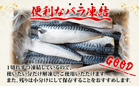 訳あり 塩さば フィレ 約3.6kg 冷凍鯖 厚切り鯖 焼き鯖 塩鯖 特大鯖 大容量鯖 トロ鯖 美味しい鯖 旬 フィレ 切り身 海鮮 魚介 切り身 海鮮 魚介 ギフト 不揃い 規格外 小分け ふるさと納税 千葉県 銚子市 辻野