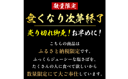 訳あり】 トロ 塩サバ フィレ3.5kg 鯖 切身 飯田商店 千葉 銚子 鯖