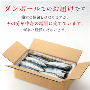 訳あり トロ 塩サバ フィレ3.5kg 冷凍鯖 厚切り鯖 焼き鯖 塩鯖 旬鯖 大容量鯖 肉厚鯖 美味しい鯖 魚 海鮮 家庭用 おかず 小分け 人気 肉 厚 不揃い 規格外 ふるさと納税 送料無料 千葉県 銚子市 銚子東洋