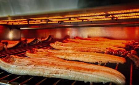 うなぎ 焼きたて 白焼うなぎ 5枚
