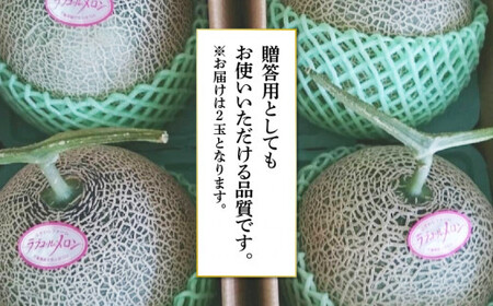 メロン ラブコール 2玉 メロン 【先行予約】