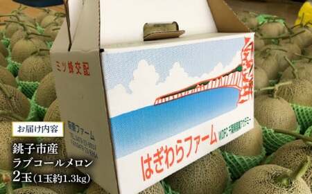 メロン ラブコール 2玉 メロン 【先行予約】