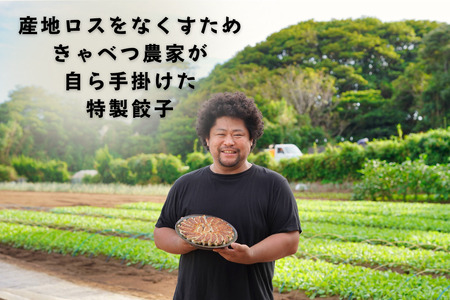 餃子 きゃべつ餃子 120個