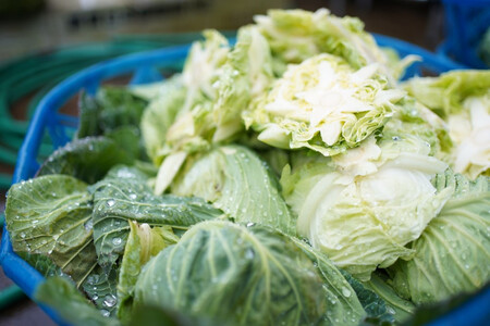 餃子 きゃべつ餃子 120個