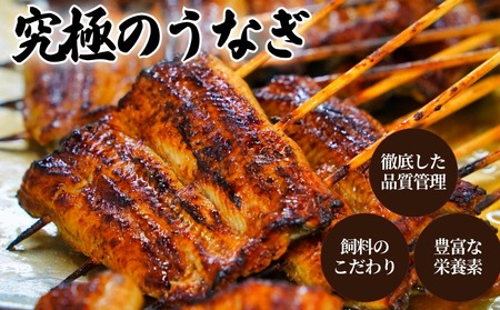 坂東太郎鰻の鰻蒲焼 中3枚