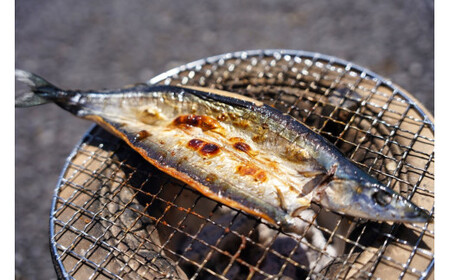 干物 犬吠埼セット 干物詰合せ ギフト