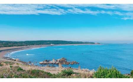 寒鯖 一夜干し 5枚