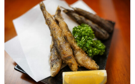 メヒカリ 銚子のメヒカリ詰合せ