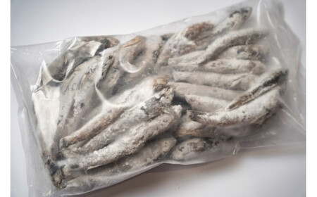 メヒカリ 銚子のメヒカリ詰合せ