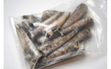 メヒカリ 銚子のメヒカリ詰合せ