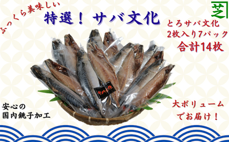 サバ文化 14枚 サバ