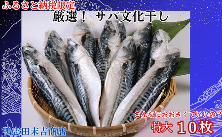 【ふるさと納税限定】サバ文化干し 特大 サイズ １０枚 ！ 工場直送 サバ さば 鯖 さば文化 サバ文化 さば文化干し サバ文化干し 文化干し 塩サバ 塩鯖 塩 海鮮 焼き鯖弁当 銚子 冷凍 お取り寄せ 千葉県 銚子市 さば サバ 鯖 さば サバ 鯖 さば サバ 鯖 さば サバ 鯖 さば サバ 鯖 さば サバ 鯖 さば サバ 鯖 さば サバ 鯖 さば サバ 鯖 さば サバ 鯖 さば サバ 鯖 さば サバ 鯖 さば サバ 鯖 さば サバ 鯖 さば サバ 鯖 さば サバ 鯖