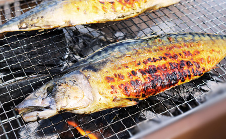 サバ文化干し 14枚 サバ