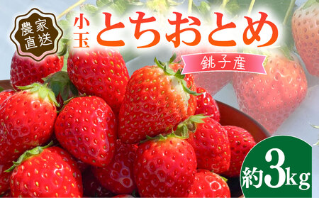 いちご とちおとめ 小玉 約3kg (250g×12パック) いちご いちご いちご いちご いちご