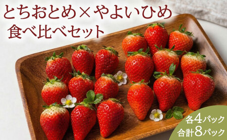 いちご とちおとめ やよいひめ 約250g×8パック 計2㎏ いちご 7,020円
