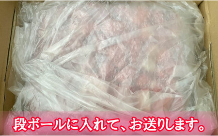 いちご 冷凍いちご とちおとめ 2kg