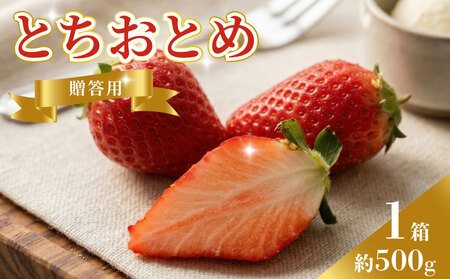 いちご とちおとめ 約500g いちご