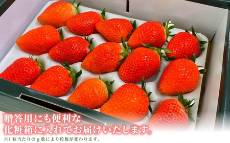 いちご やよいひめ 約400g いちご