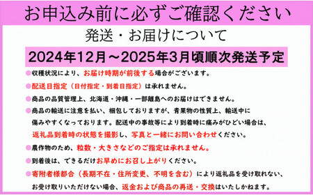 いちご とちおとめ 1箱 (約400g) いちご いちご いちご いちご いちご