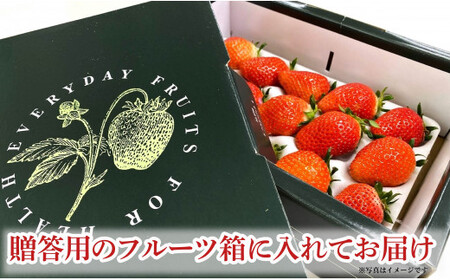 いちご とちおとめ 1箱 (約400g) いちご いちご いちご いちご いちご