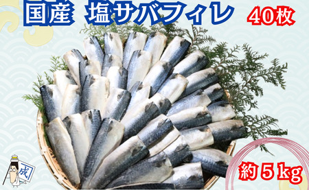 国産塩サバフィレ ４０枚 約５kg 塩さば さばフィーレ 塩サバ フィレ鯖 さば 塩鯖 美味しいさば 国産塩さば  ふるさと納税 送料無料 千葉県 銚子市