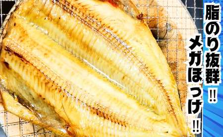 【訳あり】 メガ ほっけ開き 10枚 約6.5kg ほっけ