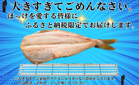 【訳あり】 メガ ほっけ開き 10枚 約6.5kg ほっけ