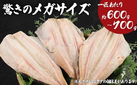 メガほっけ開き 特大サイズ 3枚 ほっけ