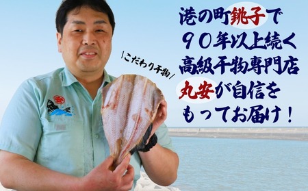 ふるさと納税 北海道 積丹町 開きほっけ10枚セット＜大川商店＞