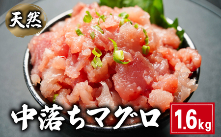 マグロ 中落ち 1.6kg まぐろ