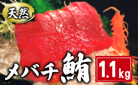 メバチまぐろ 切身 約1.1kg 鮪 ﾏｸﾞﾛ