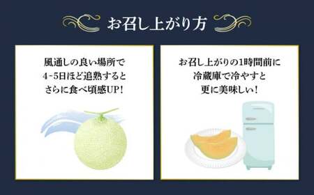 【 先行予約 】 メロン 3玉 ラブコール メロン